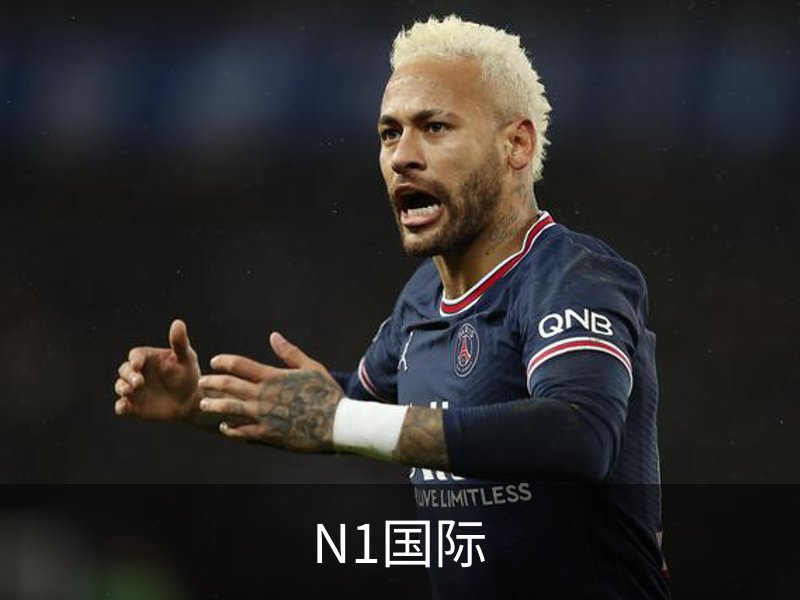 N1国际简介